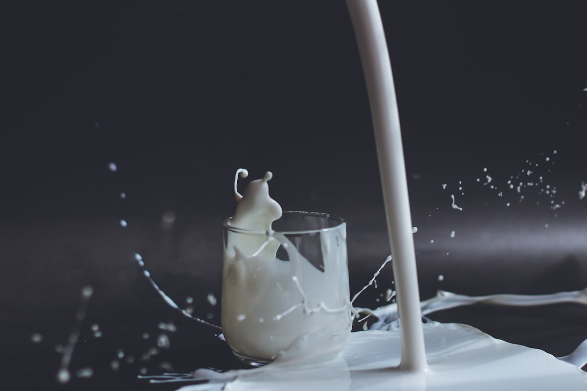 Essensplanung bei Laktoseintoleranz